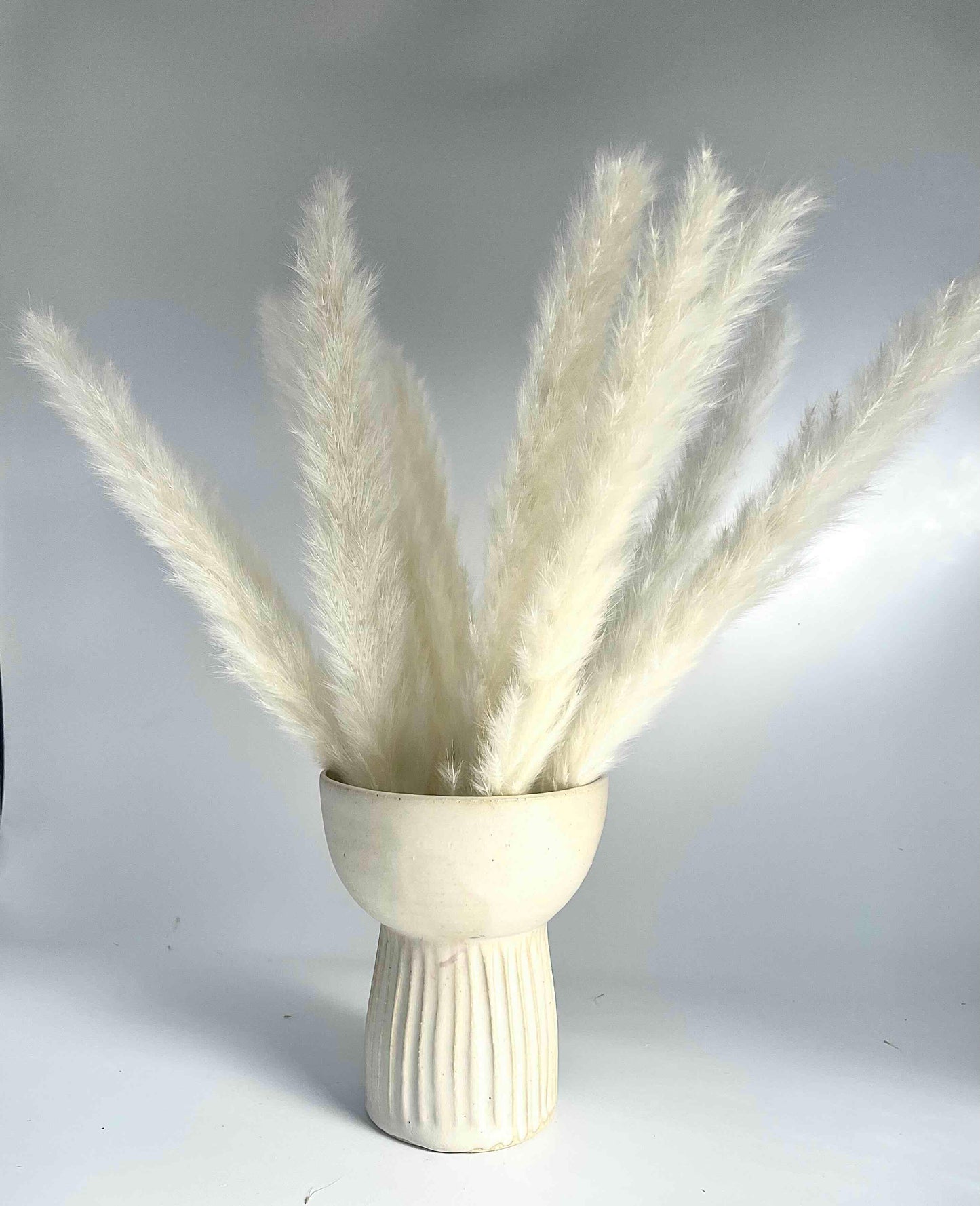Chalice Vase in Matte White